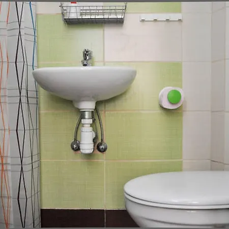 Yolo * 부다페스트